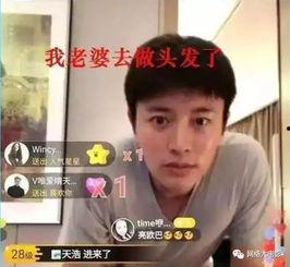 吃瓜博主连续剧免费观看,吃瓜博主带你免费畅游连续剧世界