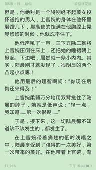 小忆吃瓜日记免费阅读小说,揭秘娱乐圈背后的秘密