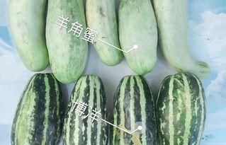 今日网红吃瓜,揭秘娱乐圈最新热点事件 第2张 今日网红吃瓜,揭秘娱乐圈最新热点事件 第2张