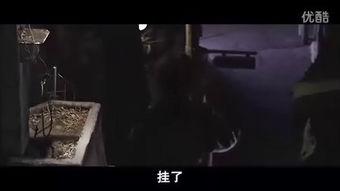 盲证 在线观看,在线观看揭示的视觉世界奥秘  第2张
