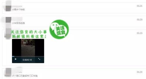 爆料视频在哪儿能看到,爆料视频观看途径大汇总 第2张 爆料视频在哪儿能看到,爆料视频观看途径大汇总 第2张