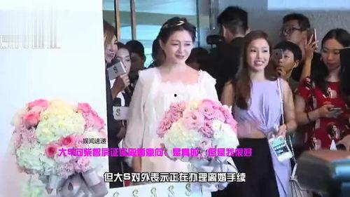 汪小菲妈妈最新爆料视频,揭秘豪门背后的惊人真相  第1张