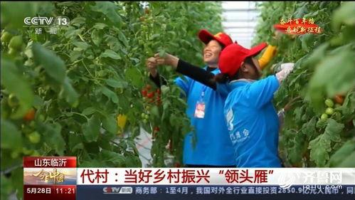兰陵代村最新爆料新闻,揭秘乡村振兴背后的故事与挑战 第3张 兰陵代村最新爆料新闻,揭秘乡村振兴背后的故事与挑战 第3张