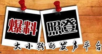 玉溪新闻爆料,揭秘当地热点事件背后的真相 第2张 玉溪新闻爆料,揭秘当地热点事件背后的真相 第2张