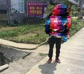 筠连网友爆料最新消息 第3张 筠连网友爆料最新消息 第3张