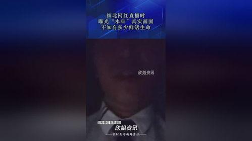 缅北网红官方爆料视频,真实背后的故事  第1张 缅北网红官方爆料视频,真实背后的故事  第1张