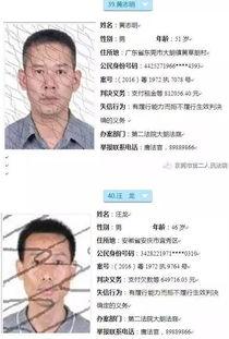 爆料老赖新闻,曝光新闻背后的债务困境与法律追讨