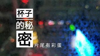 德州饭店爆料视频,一场惊心动魄的餐饮行业风云 第2张 德州饭店爆料视频,一场惊心动魄的餐饮行业风云 第2张