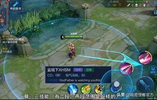 伽罗新皮肤技能爆料视频,技能亮点与视觉盛宴  第3张 伽罗新皮肤技能爆料视频,技能亮点与视觉盛宴  第3张