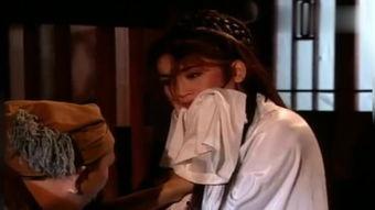 新金瓶完整版在线观看,激情燃烧的欲望之旅