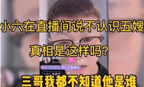 网友爆料五嫂事件真相视频