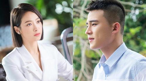 刘大锤爆料翻车视频全集,揭秘真相与反转背后的故事