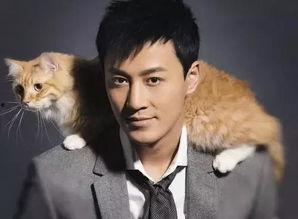 林峰近期爆料新闻视频大全,揭秘娱乐圈幕后真相 第2张 林峰近期爆料新闻视频大全,揭秘娱乐圈幕后真相 第2张