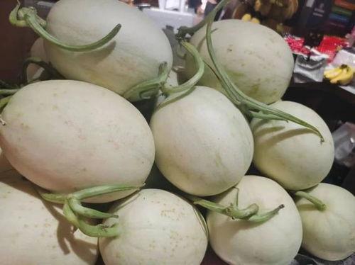 微信黄色瓜免费吃瓜  第1张