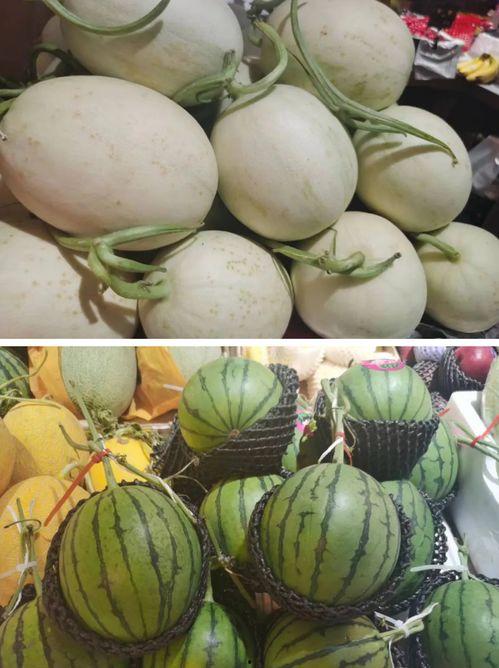 微信黄色瓜免费吃瓜  第2张