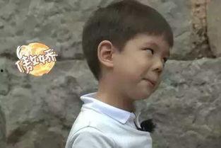 娱乐圈的吃瓜小编是谁啊,揭秘“吃瓜小编”的真实身份！  第3张