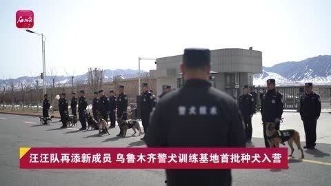 新疆最新新闻爆料视频,揭秘神秘事件背后的真相 第3张 新疆最新新闻爆料视频,揭秘神秘事件背后的真相 第3张