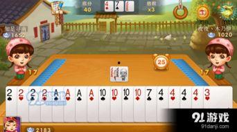 老兵爆料斗地主视频,斗地主视频背后的精彩瞬间