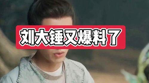 刘大锤爆料最新白鹿视频,精彩瞬间大盘点  第3张