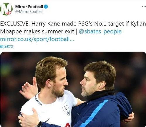 热刺最新独家爆料消息,球队最新动态与未来展望 第3张 热刺最新独家爆料消息,球队最新动态与未来展望 第3张