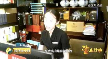爆料茶叶的视频大全集,视频大全集深度解析  第2张