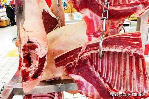 满朝文武都等我瓜吃免费完整版,揭秘免费完整版背后的故事  第3张