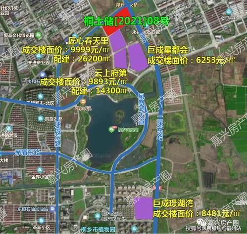 现在和以后在线观看,现在与未来在线观看之旅  第3张