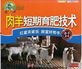 育肥羊爆料视频最新,揭秘养殖场惊人内幕  第3张