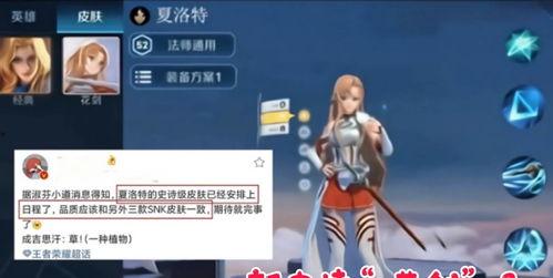夏洛特最新皮肤爆料图片,炫彩斑斓，魅力四溢  第3张