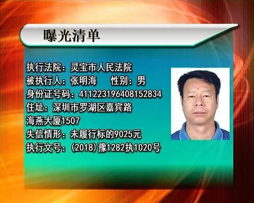 新闻爆料被执行人是谁  第3张