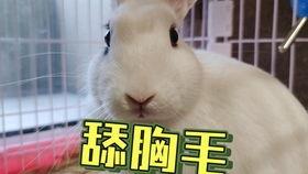 吃瓜女护士抖音网红,揭秘网红背后的故事” 第3张 吃瓜女护士抖音网红,揭秘网红背后的故事” 第3张