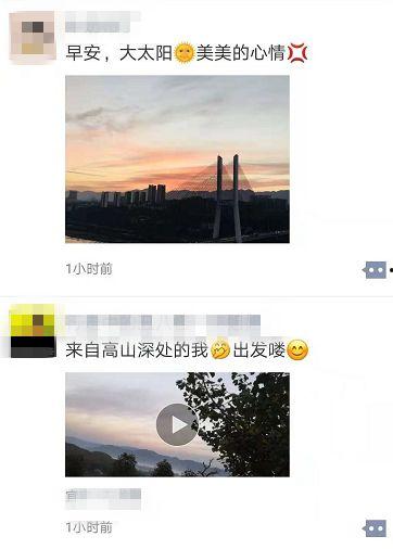 晨曦被爆料视频去哪看,观看途径全解析