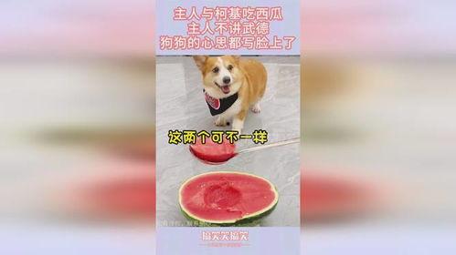 娱乐吃瓜小花和狗仔,小花与狗仔的甜蜜“追逐”记 第3张 娱乐吃瓜小花和狗仔,小花与狗仔的甜蜜“追逐”记 第3张
