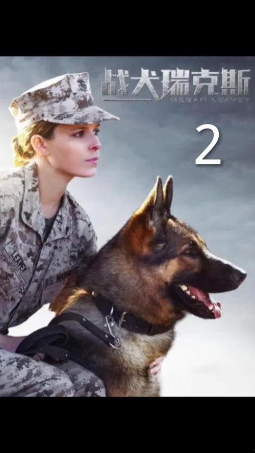 战犬在线观看,忠诚守护，热血征途  第2张
