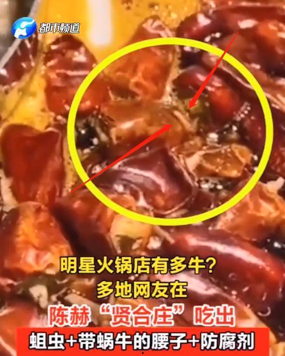 火锅之王爆料视频,独家爆料视频深度解析  第2张
