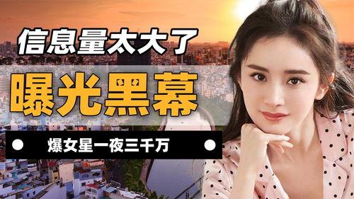 盘点爆料娱乐圈黑幕 第3张 盘点爆料娱乐圈黑幕 第3张