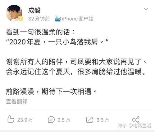 成毅袁冰研最新爆料,揭秘幕后故事与情感纠葛  第3张