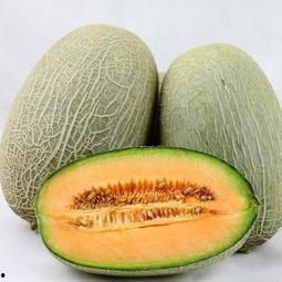 大妹吃哈密瓜视频大全免费观看,免费视频盛宴，尽享甜蜜时光