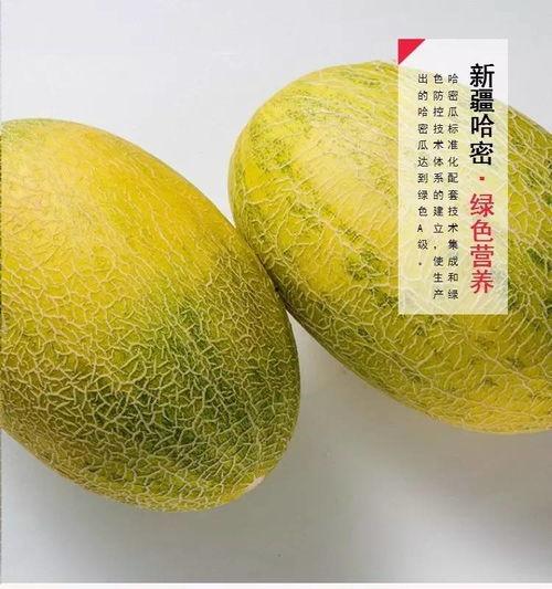 大妹吃哈密瓜视频大全免费观看,免费视频盛宴,尽享甜蜜时光 第2张 大妹吃哈密瓜视频大全免费观看,免费视频盛宴,尽享甜蜜时光 第2张